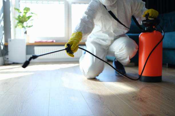 Reliable Infectious Disease Decontamination contractor in Amherst, TX by Trauma Clean Pros